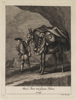 KG 01079
          <br/>
          Entwurf einiger Maulthiere und Esel. Siebender Theil. (18 bladen)
          <br/>
          <em>Ridinger, Johann Elias (1698-1767)</em>